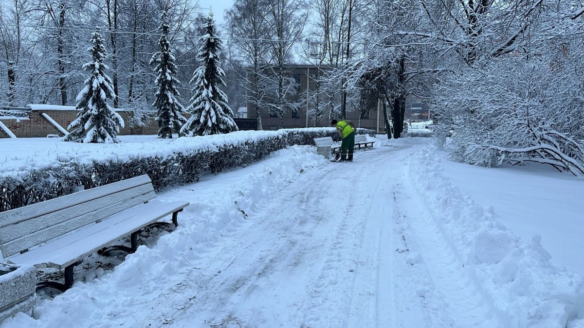 Садовники Петербурга продолжают расчищать от снега городские скверы и сады - tvspb.ru