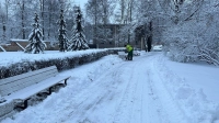 Петербургские садовники продолжают расчищать от снега городские скверы и сады