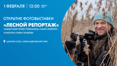 Онлайн-трансляция открытия фотовыставки «Лесной репортаж» в Александровском парке