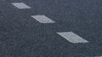 Ночью 12 ноября в Ленобласти будет туманно и скользко