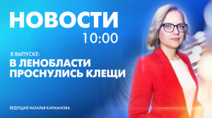 Новости Петербурга к 10:00