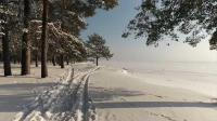 Александр Беглов: Петербург — один из первых городов, в котором заповедники взяли под заботу государства