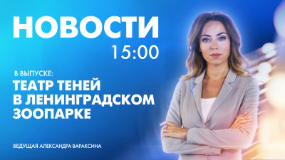 Новости Петербурга к 15:00