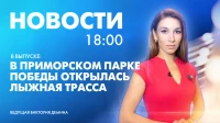 Новости Петербурга к 18:00