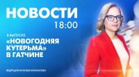 Новости Петербурга к 18:00