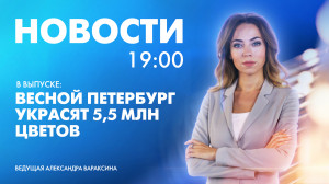 Новости Петербурга к 19:00