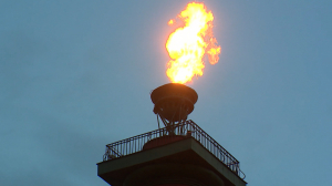 Спортивные итоги Петербурга 2024