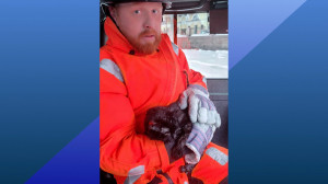 Опасный выход на лёд. Обзор социальных сетей