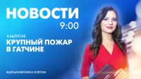 Новости Петербурга к 9:00