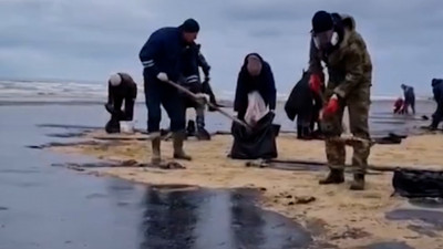 Спасение птиц и очистка берега от мазута: как  петербургские волонтёры помогают устранять последствия экокатострофы в Анапе