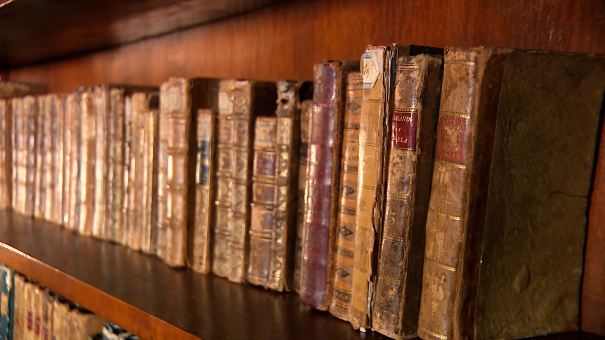 К 2028 году в Красногвардейском районе обновят 13 библиотек - tvspb.ru