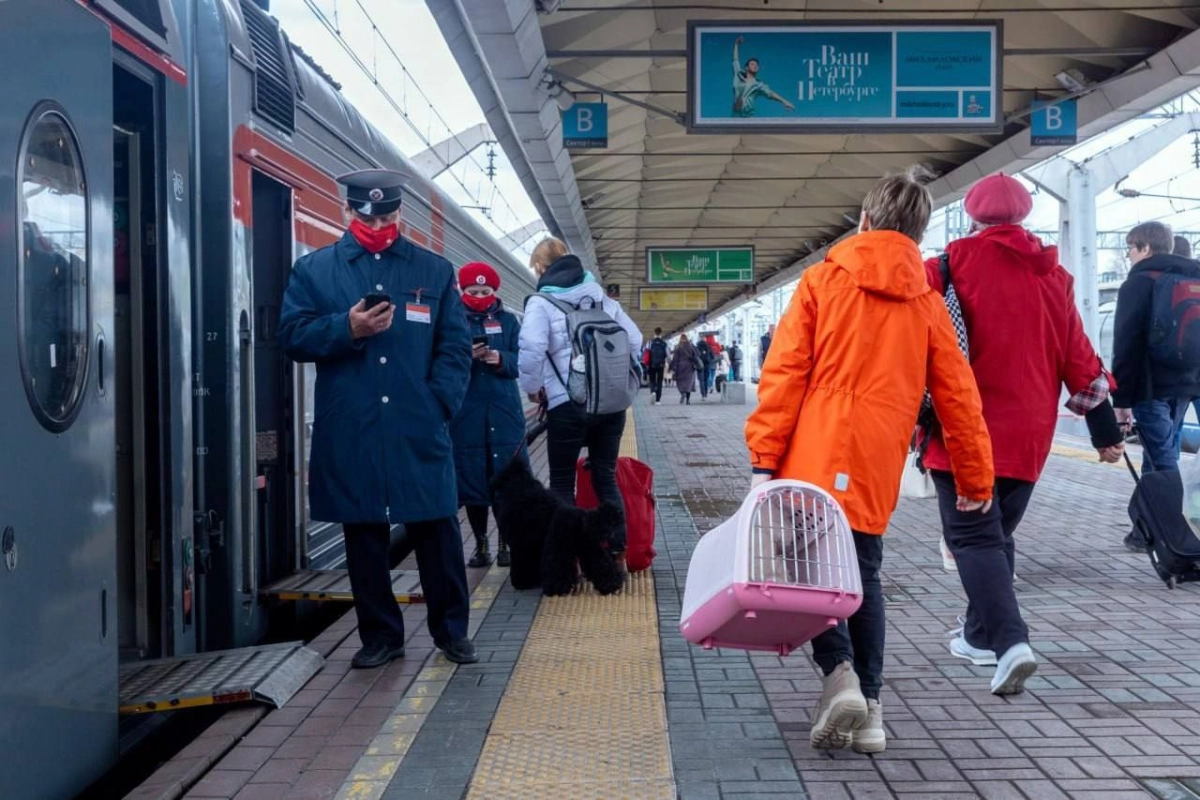 В Петербурге по Октябрьской железной дороге было перевезено более 66 тысяч домашних животных - tvspb.ru