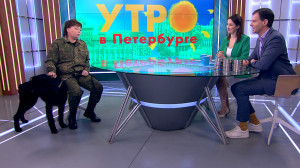 Нос на страже порядка. Чему обучают таможенных собак?