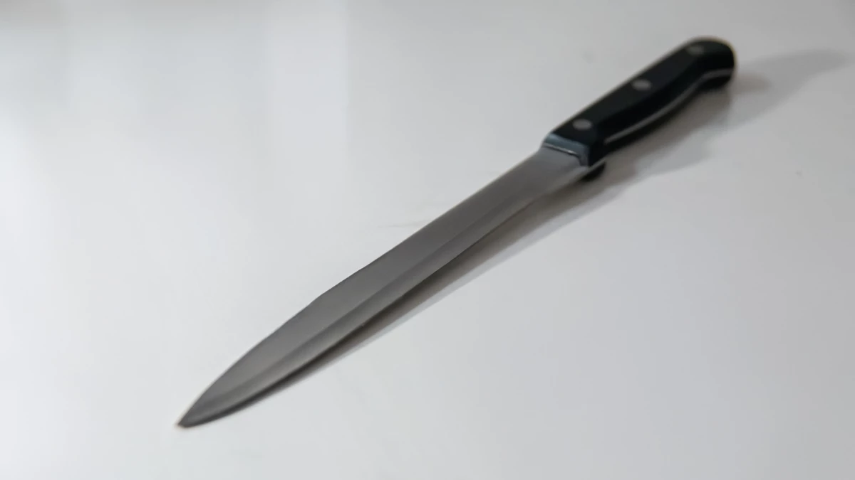 Преступница из Сестрорецка пыталась спрятаться от полицейских в диване - tvspb.ru