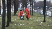 Садовники Петербурга проводят эксперименты с удобрениями почвы на Московском проспекте