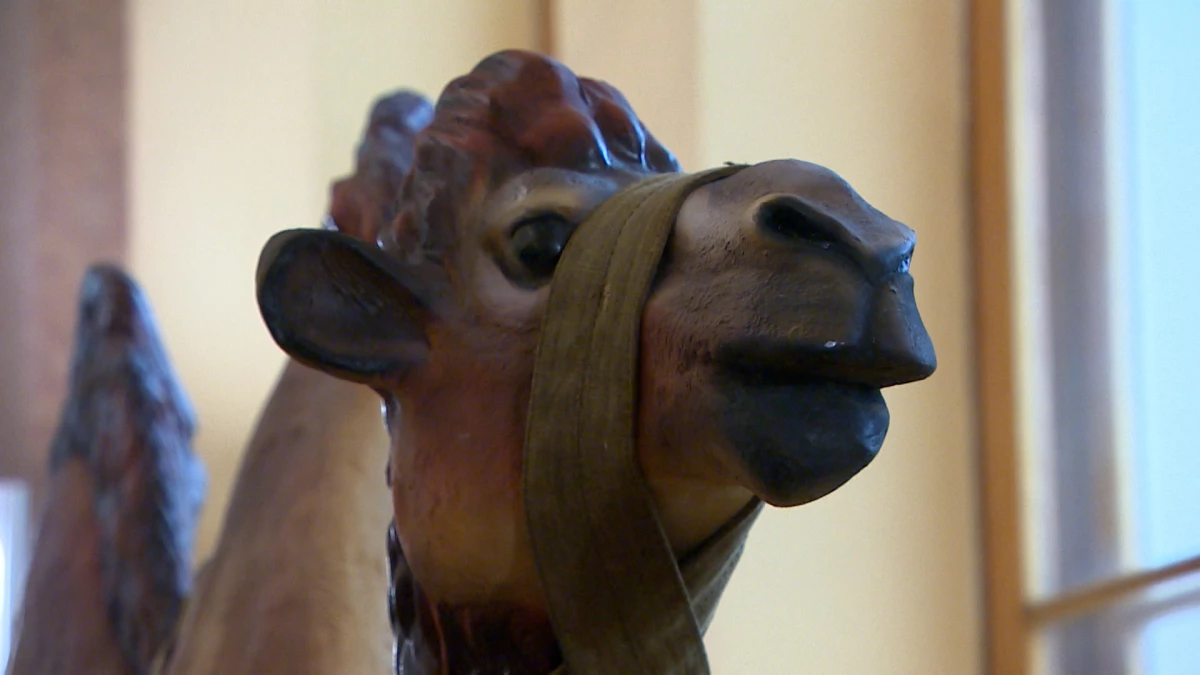 Какую роль на фронте играли животные, рассказывает новая выставка в Центральном музее связи - tvspb.ru