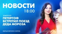 Новости Петербурга к 18:00