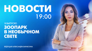 Новости Петербурга к 19:00