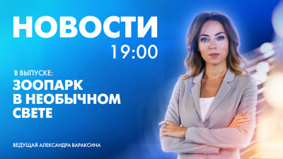 Новости Петербурга к 19:00