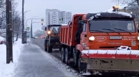 Глава комитета по благоустройству Сергей Петриченко сообщил, что городские службы справляются с уборкой последствий снегопада