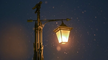 Главный синоптик Петербурга Александр Колесов рассказал, будет ли снег на Новый год