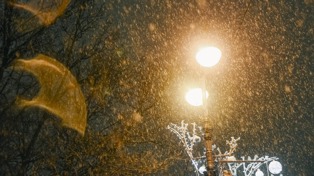 Синоптик предупредил о мокром снеге в Петербурге 6 и 7 декабря - tvspb.ru