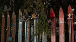 Спорт-арт-забор. Лыжная ограда с историей растёт в Комарово