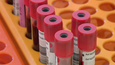 День донора проходит в тронном зале здания Министерства юстиции