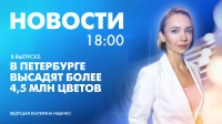 Новости Петербурга к 18:00