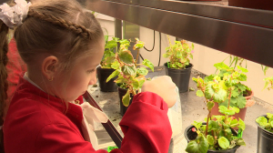 Научные исследования со школьной скамьи