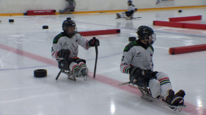 Следж-хоккейная команда «Звезда»