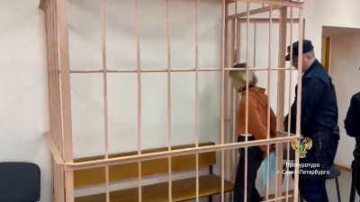 Мошенники похитили у пожилой петербурженки 24,5 млн рублей