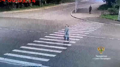 Подкараулил, вырвал сумку: напавший на петербурженку злодей отправится в колонию