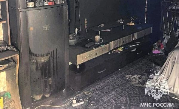 Трехлетний ребенок погиб при пожаре в Нижегородской области - tvspb.ru