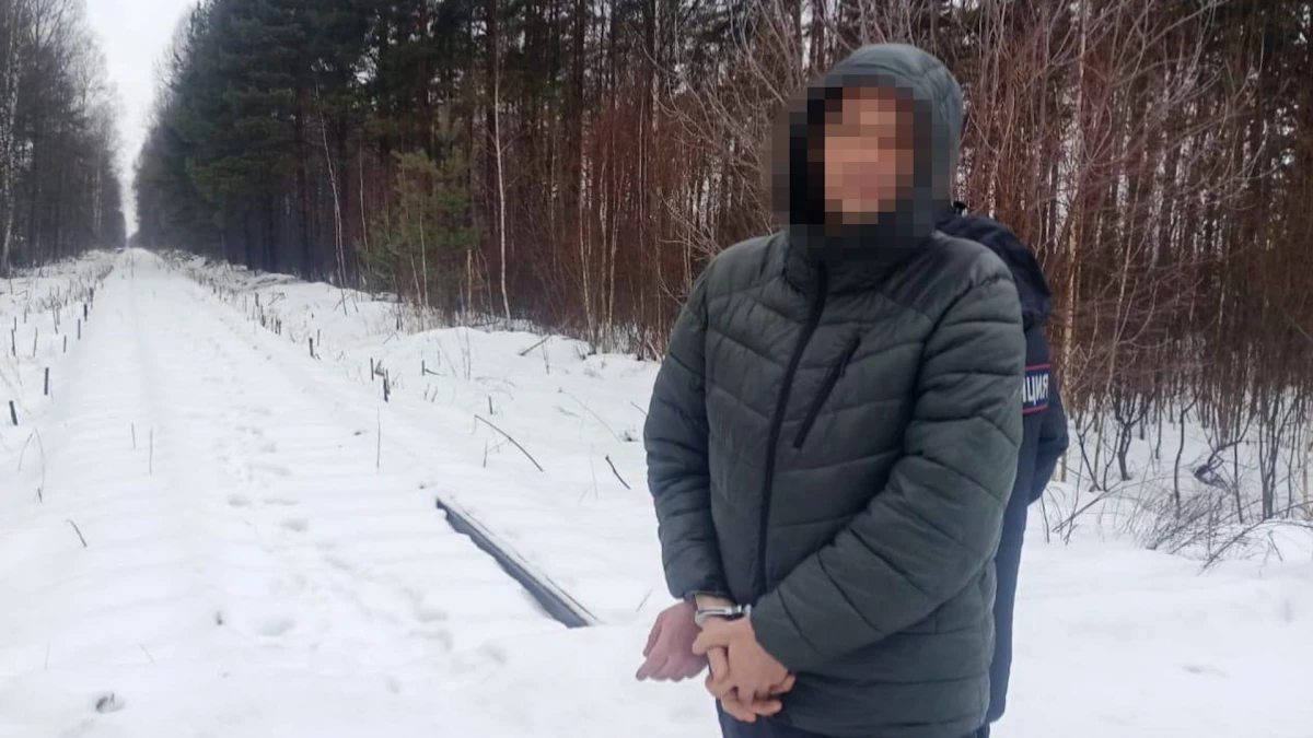 В Костроме мужчина украл 24 тонны рельсов - tvspb.ru