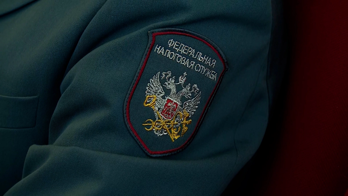 Петербуржцев поздравили с Днем работника налоговых органов - tvspb.ru