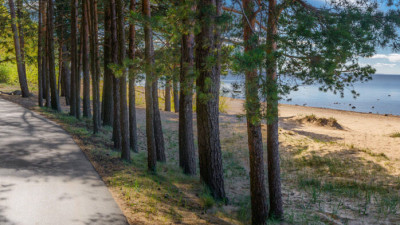 Комаровский берег станет природным заказником