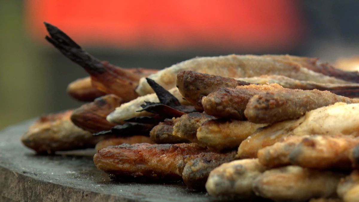 С1 по 4 мая в Петербурге пройдет «Рыбный фестиваль» - tvspb.ru