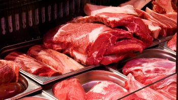 Петербург и Ленобласть нарастили экспорт сельхозпродукции на 40%