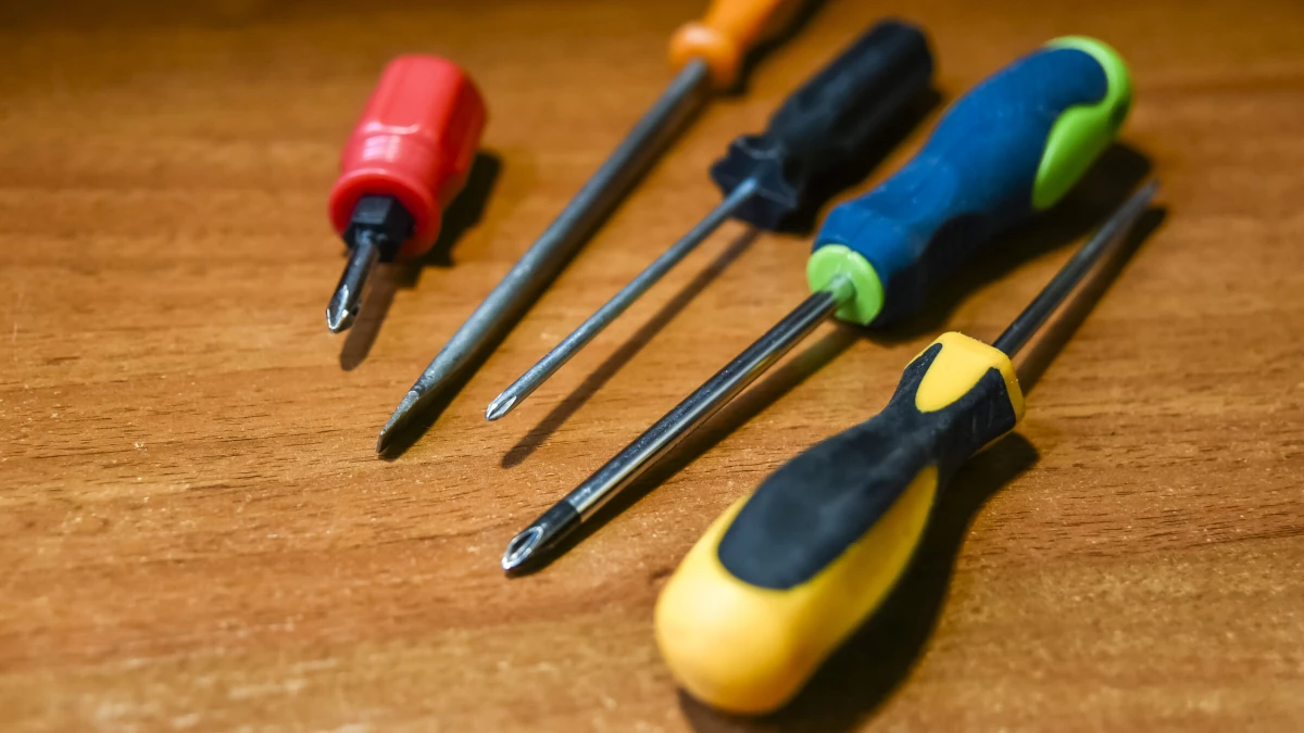 Мужчины в Петербурге предпочитают деньги и инструменты в качестве подарков на 23 февраля - tvspb.ru