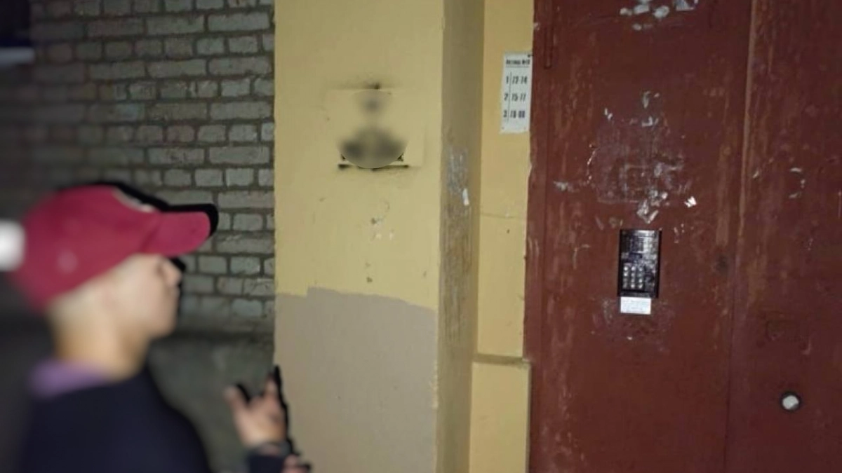 С детства любил рисовать: в Пушкине будут судить молодого человека за графическую рекламу наркотиков - tvspb.ru