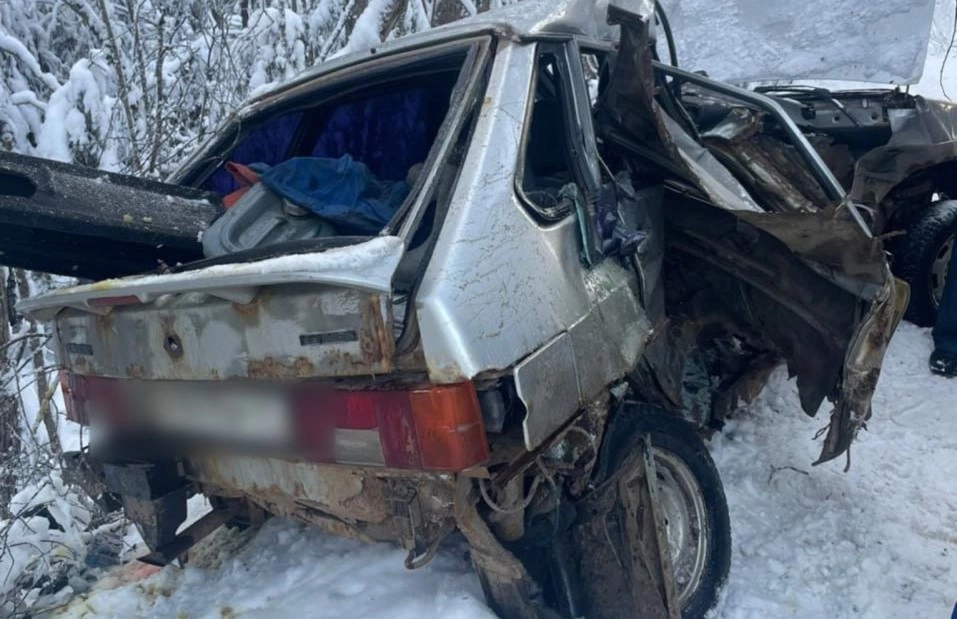 В Киришском районе Ленобласти столкнулись грузовик и легковой автомобиль – один человек погиб - tvspb.ru