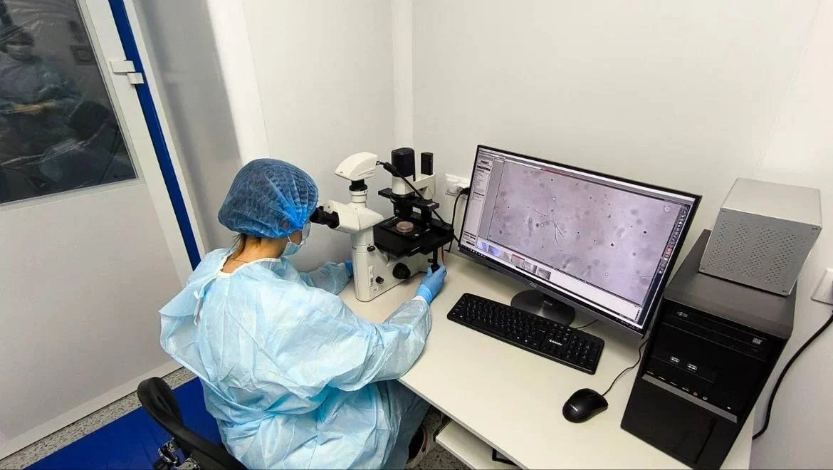 Российские ученые начали применять эквивалент кожи для лечения животных - tvspb.ru