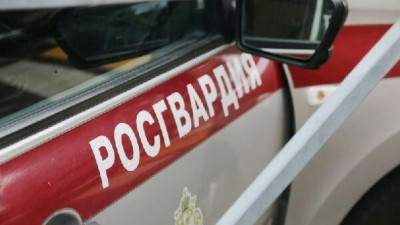 Пьяный полуголый человек разгромил книжный магазин на севере Петербурга