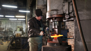 «Живая природа» из-под молота кузнеца: уникальный проект по спасению исчезающих видов животных