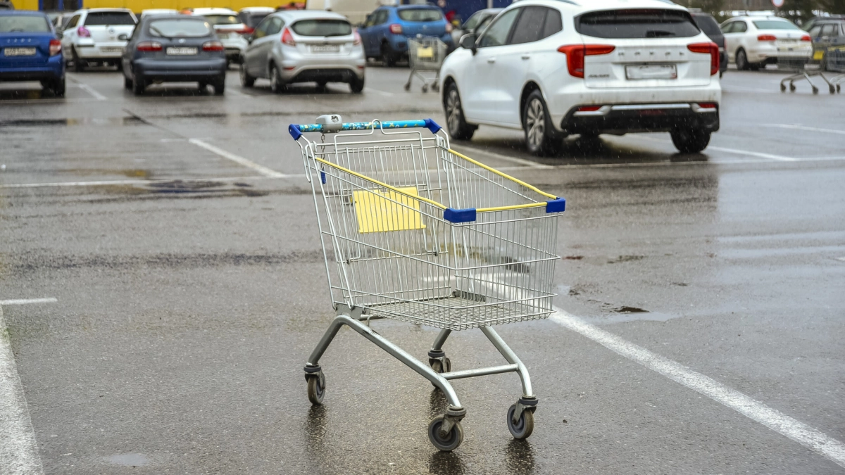 Исследование: петербуржцы предпочитают ходить за продуктами в обеденное время - tvspb.ru