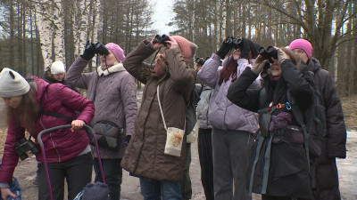 В Ржевском лесопарке прошла орнитологическая экскурсия