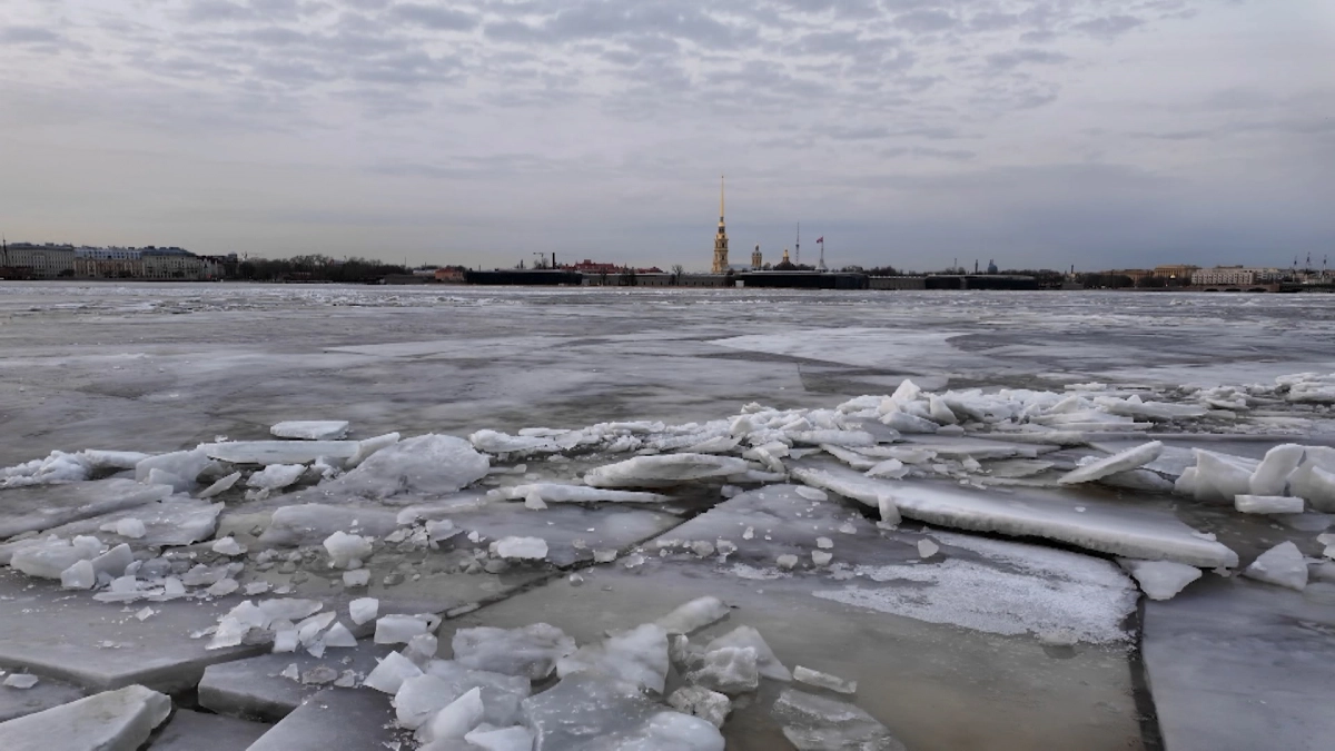 Провалился на Дудергофском канале: спасатели достали из-подо льда подростка с переохлаждением - tvspb.ru
