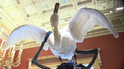 Скульптуру Яна Фабра «Глупость, стоящая на смерти» очистили от пыли в Эрмитаже