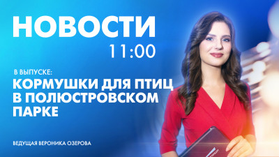 Новости Петербурга к 11:00